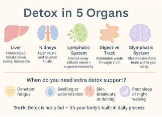 what-does-detox-really-mean