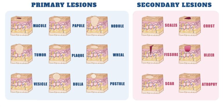 common-skin-issues-and-their-internal-causes