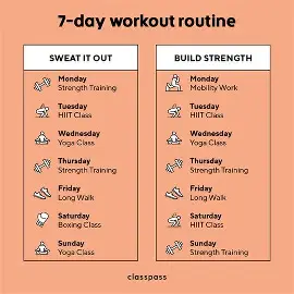 what-is-a-7-day-gym-workout-plan