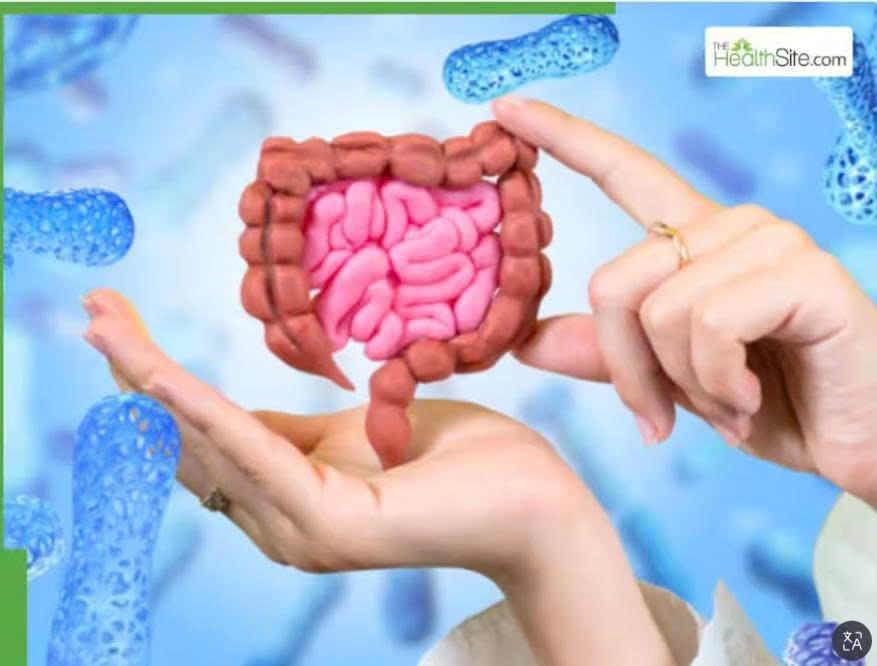 Gut health and the role of the microbiome