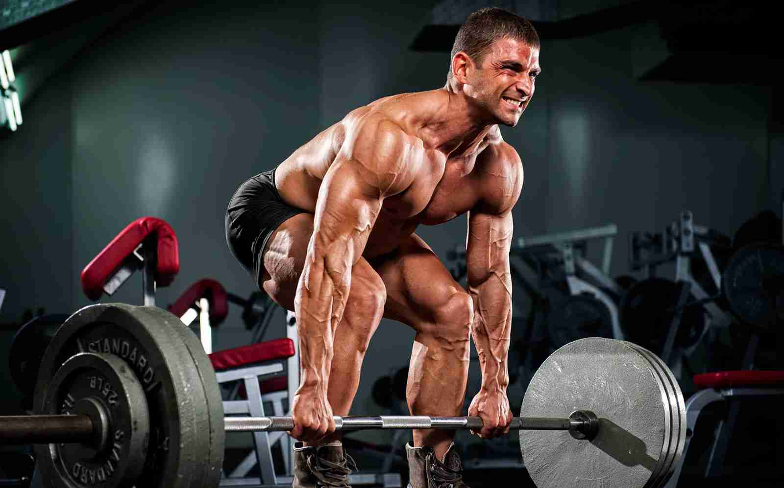 Top 10 Most Effective Muscle-Building Exercises for Effective
